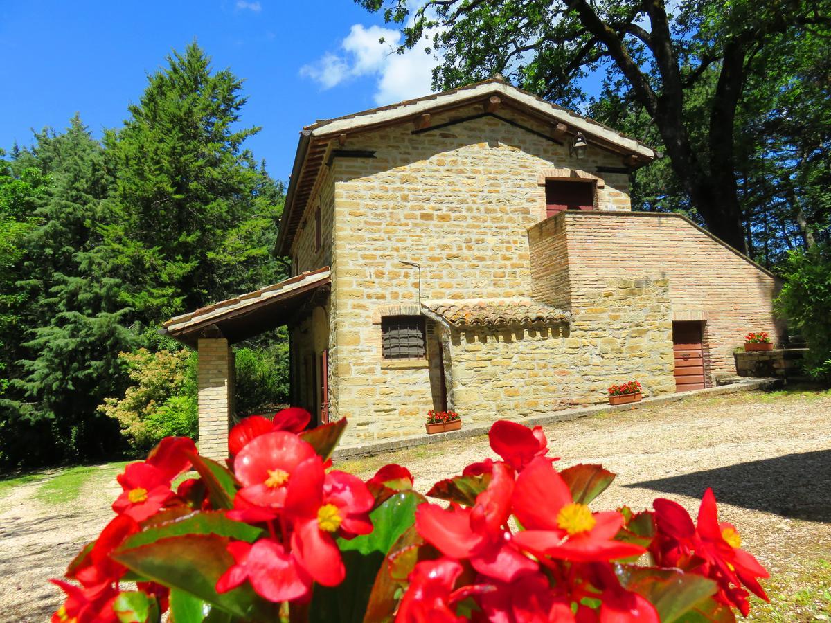 Castello Cortevecchio Γκούμπιο Εξωτερικό φωτογραφία